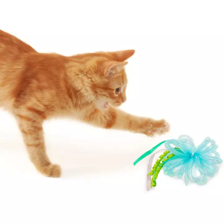 Petlinks interactive cat outlet toys