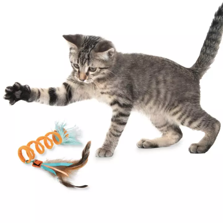 Springy 2024 cat toy